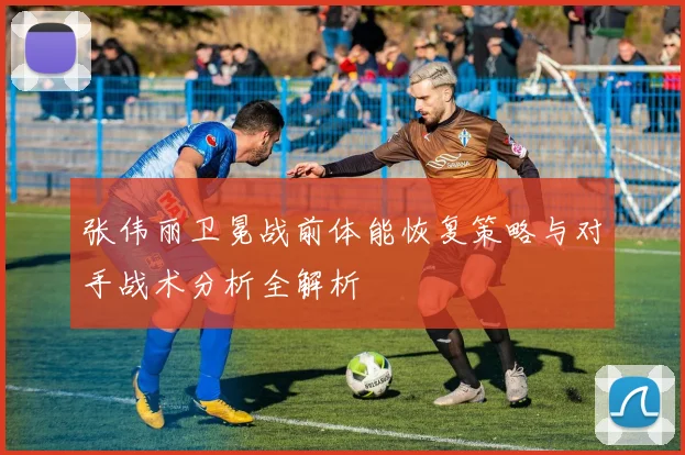 张伟丽卫冕战前体能恢复策略与对手战术分析全解析